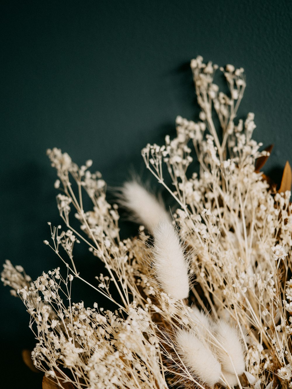 white flowers in tilt shift lens