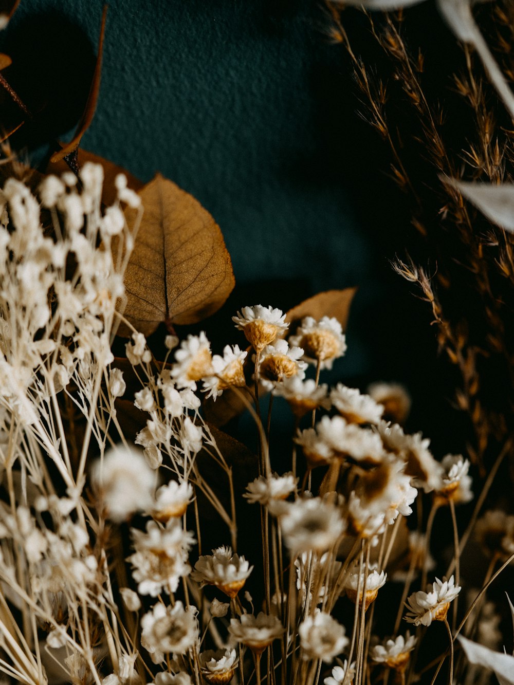 white flowers on brown wooden table