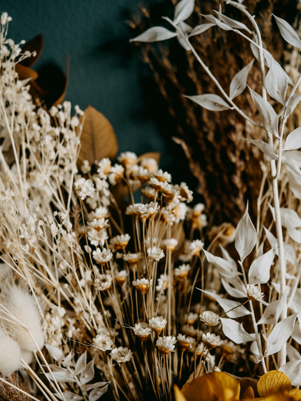 white flowers in brown clay pot