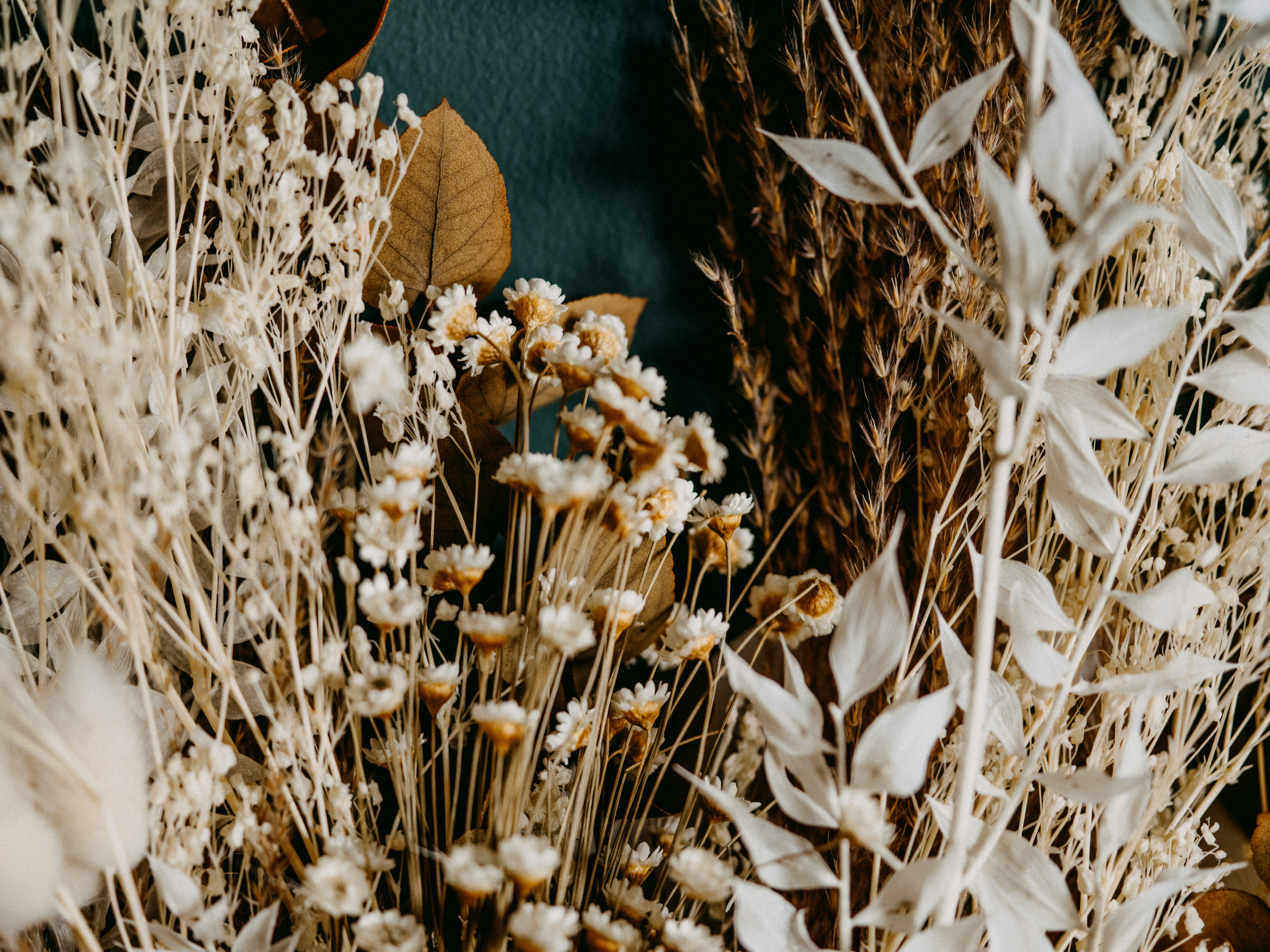 assorted wholesale dried flowers in bulk