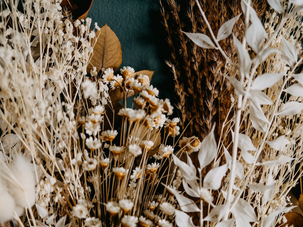 white flowers on brown wheat