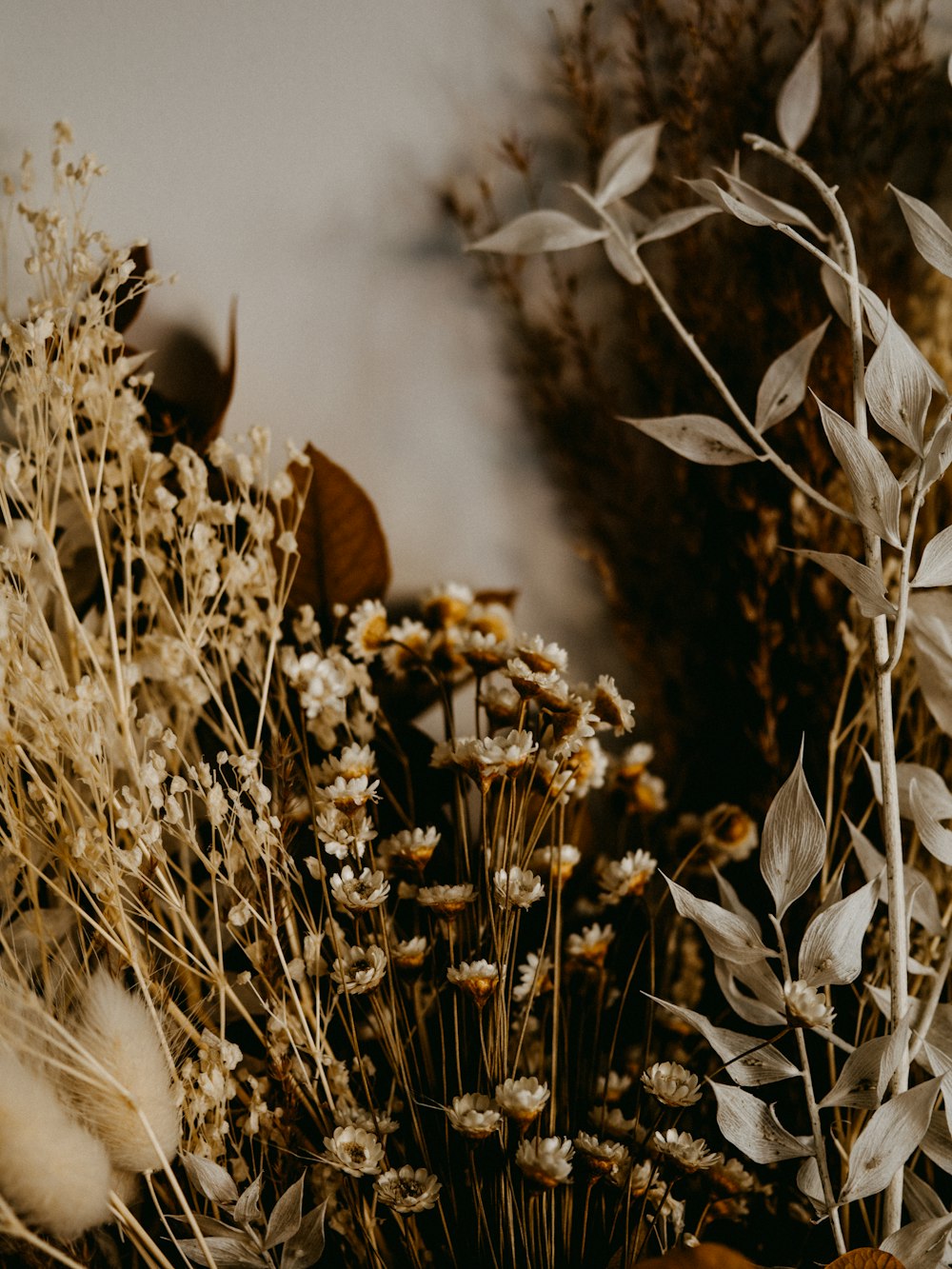 white flowers in brown clay pot