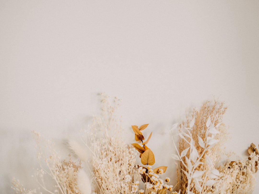 brown plant on white snow