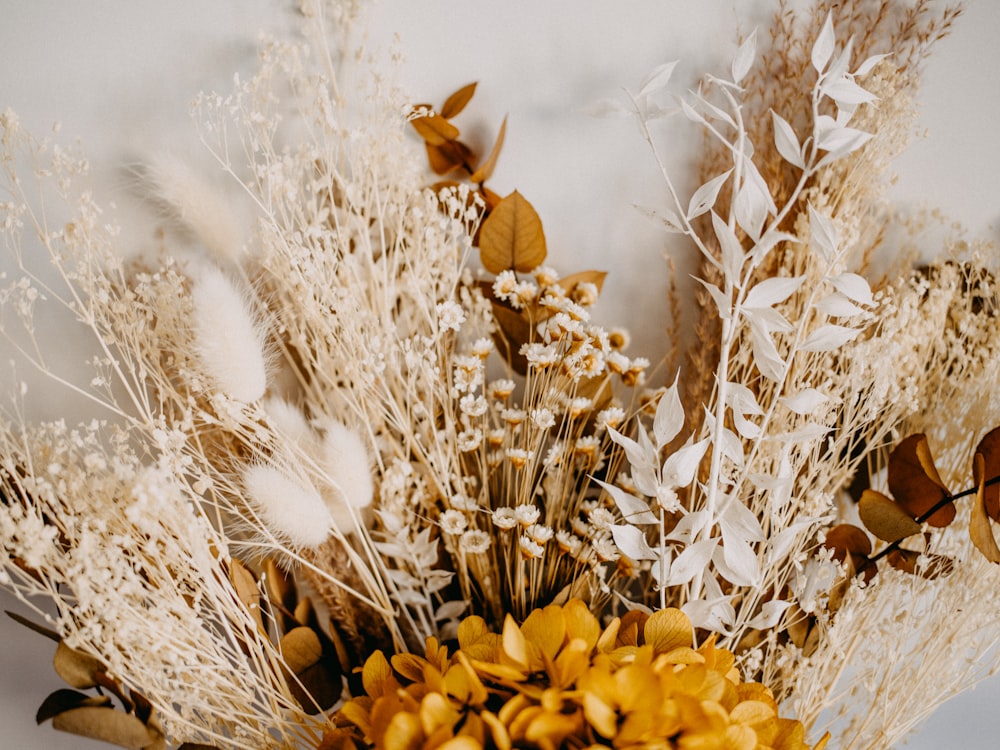 fleur jaune sur herbe séchée brune