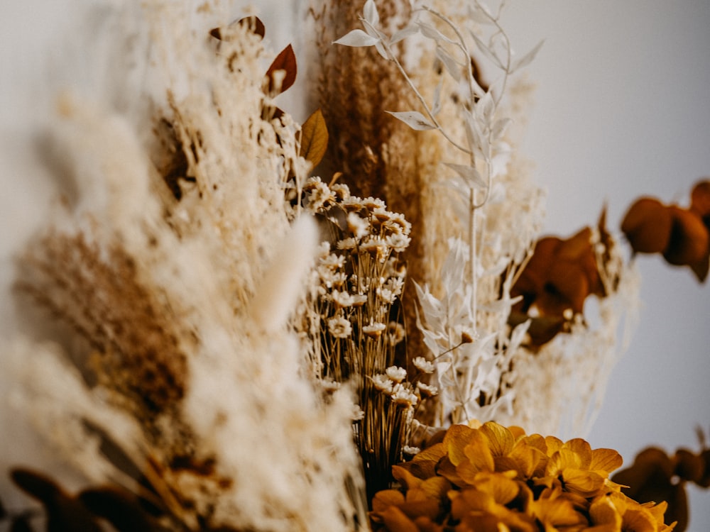 brown dried leaves on snow covered ground