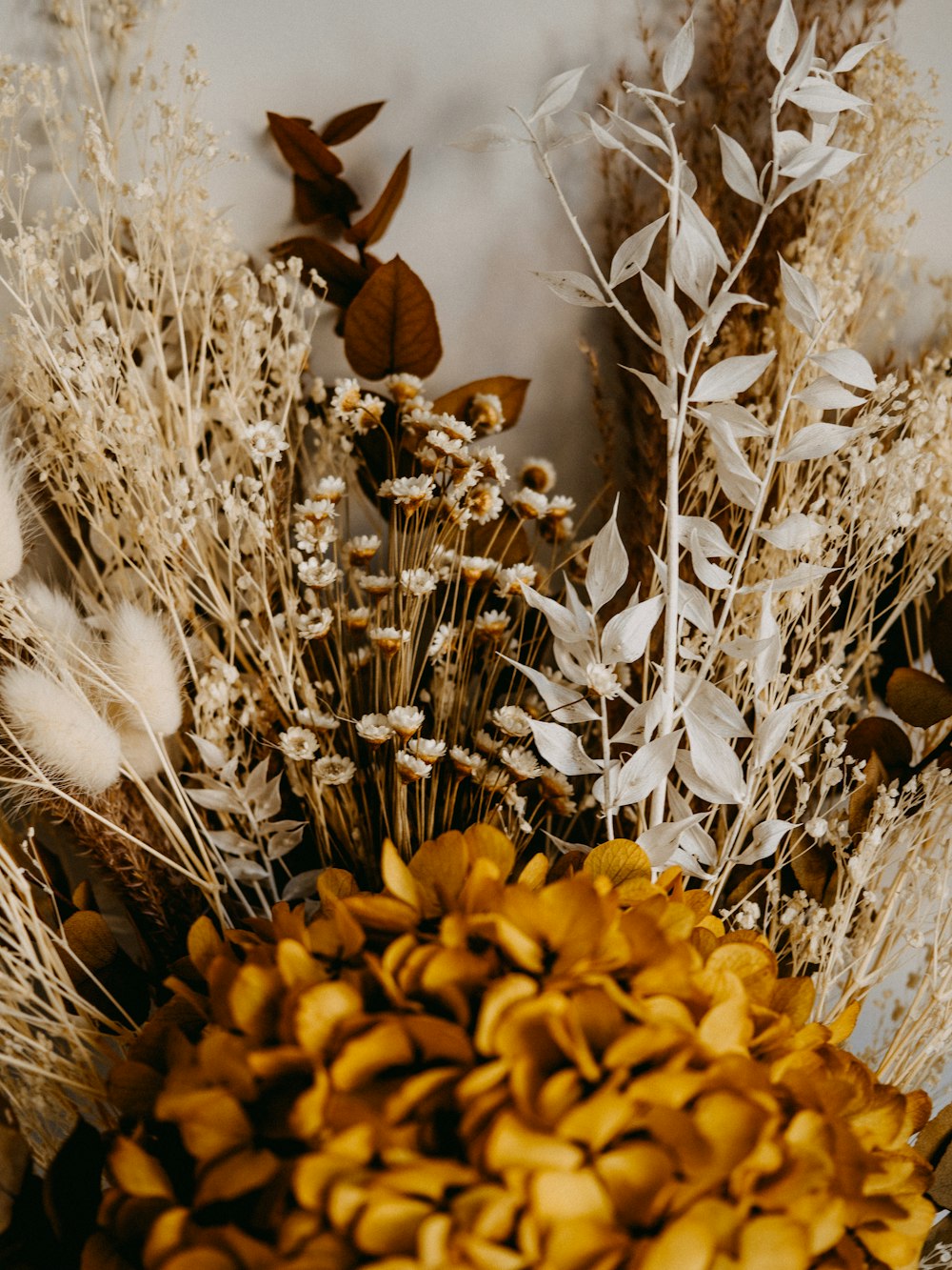 yellow flowers on brown dried grass