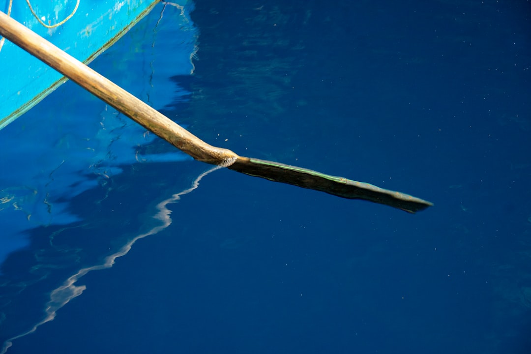 brown wooden stick on blue water