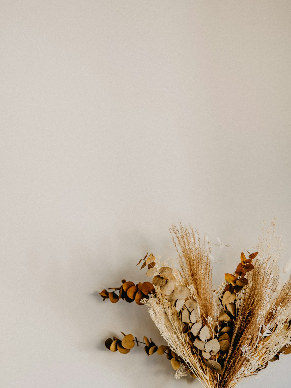 brown wheat on white surface