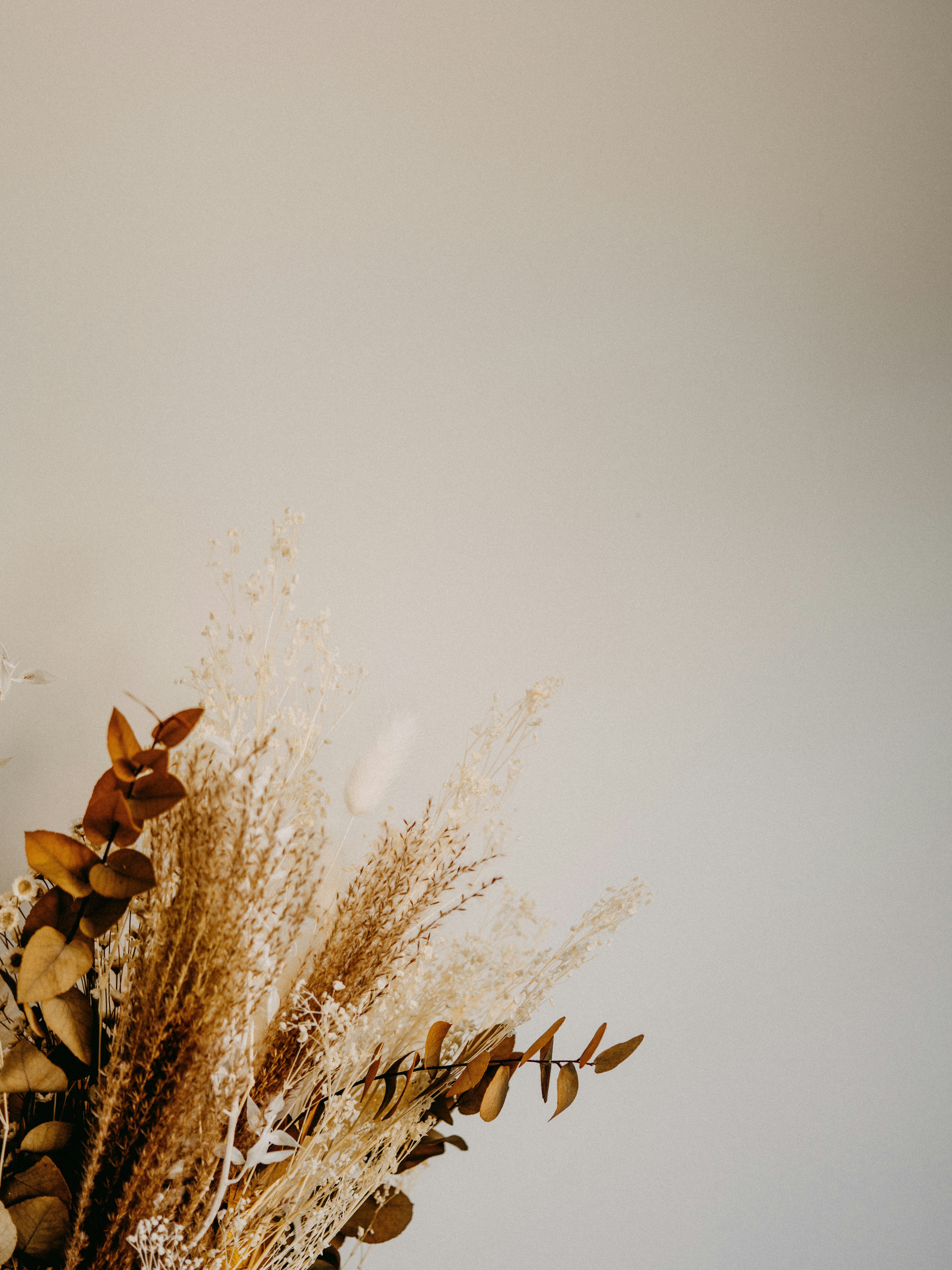 Photo by anniespratt