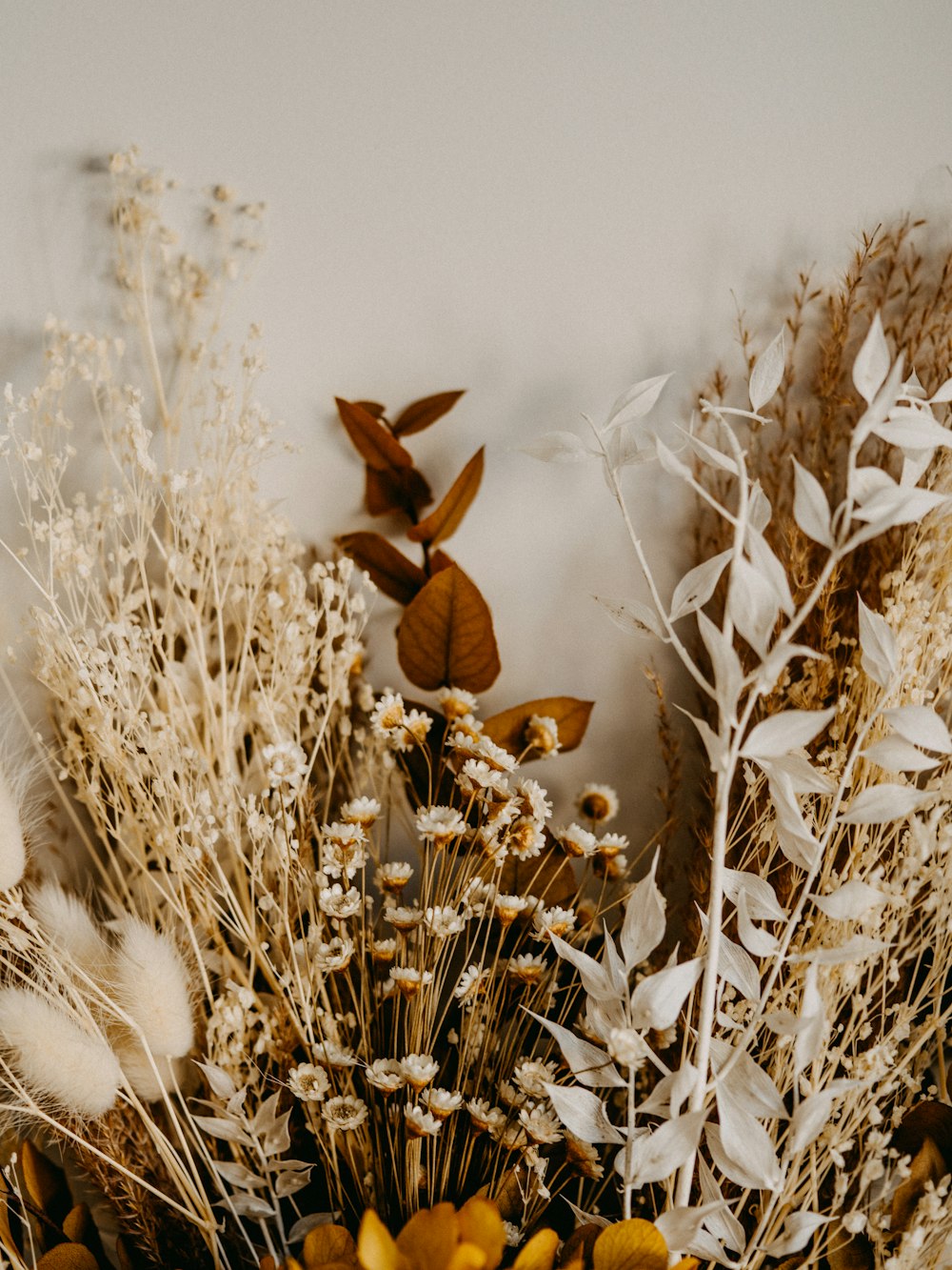 brown dried leaves on white snow