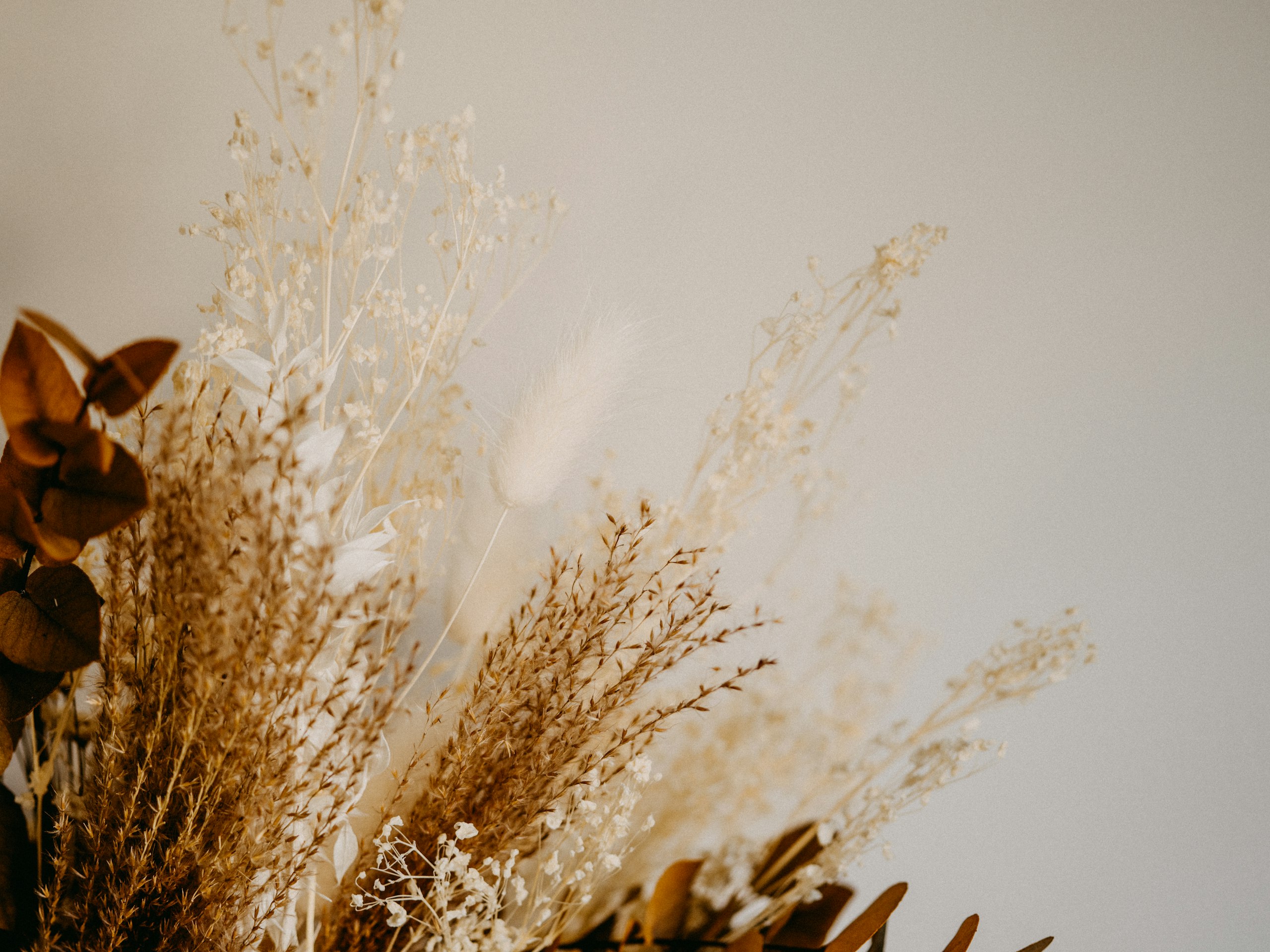 Fleurs séchées artistiques