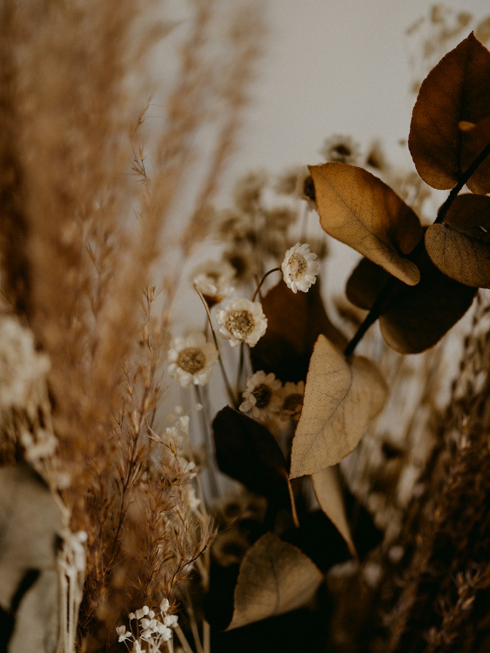 white flower in tilt shift lens