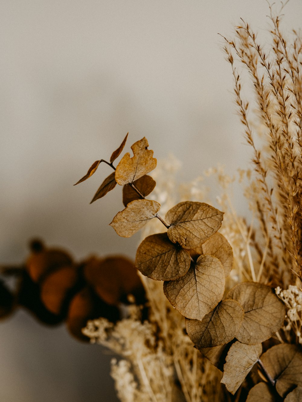 brown dried leaves in tilt shift lens