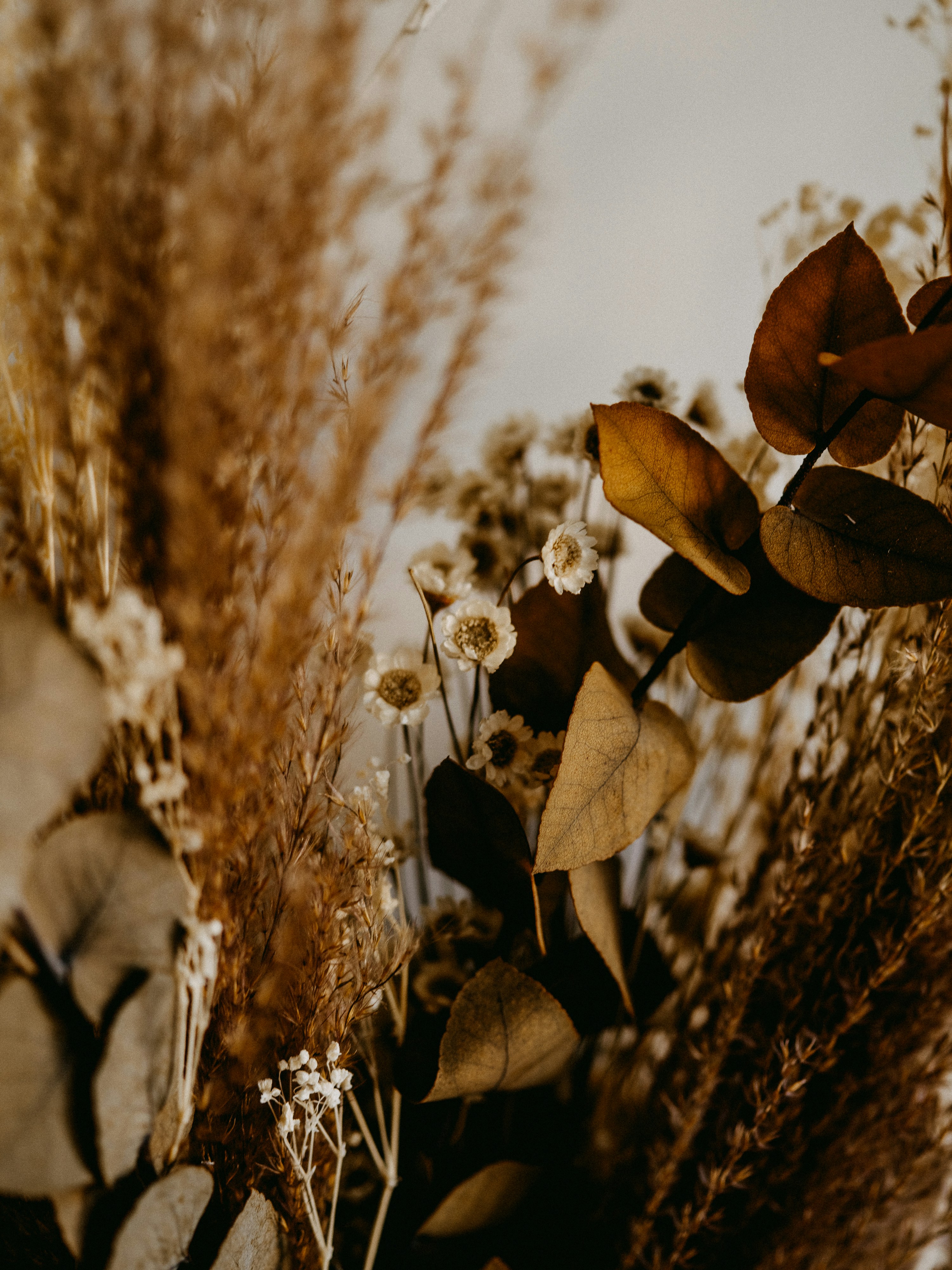 Photo by anniespratt