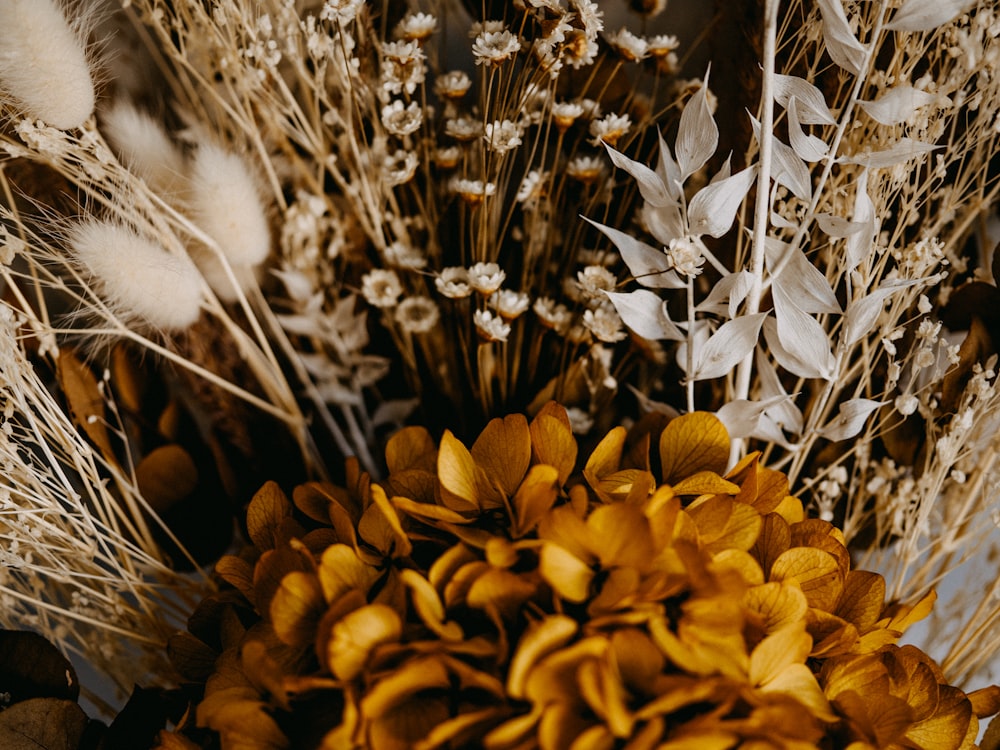 yellow flowers with green leaves