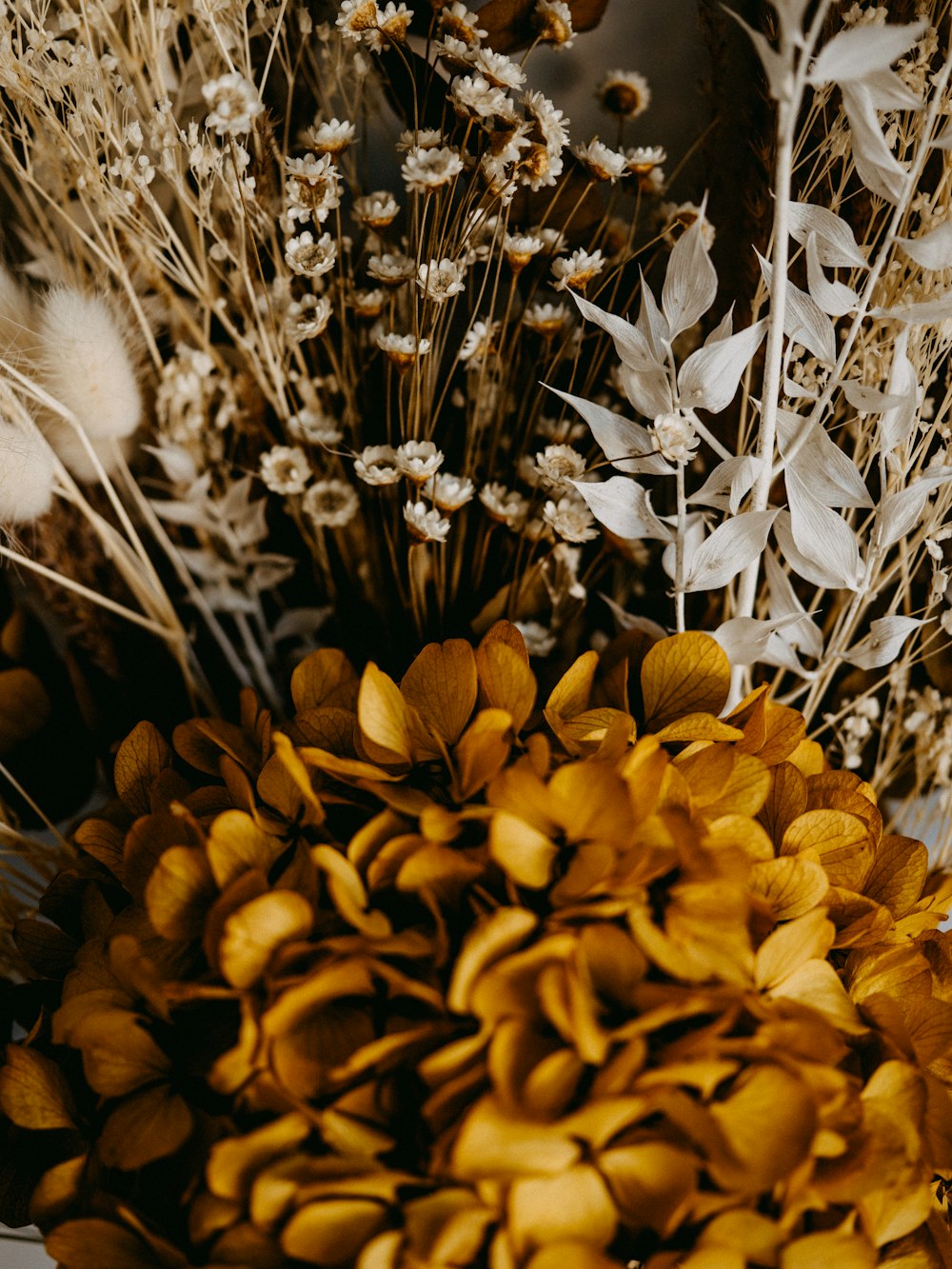 yellow flowers on brown field