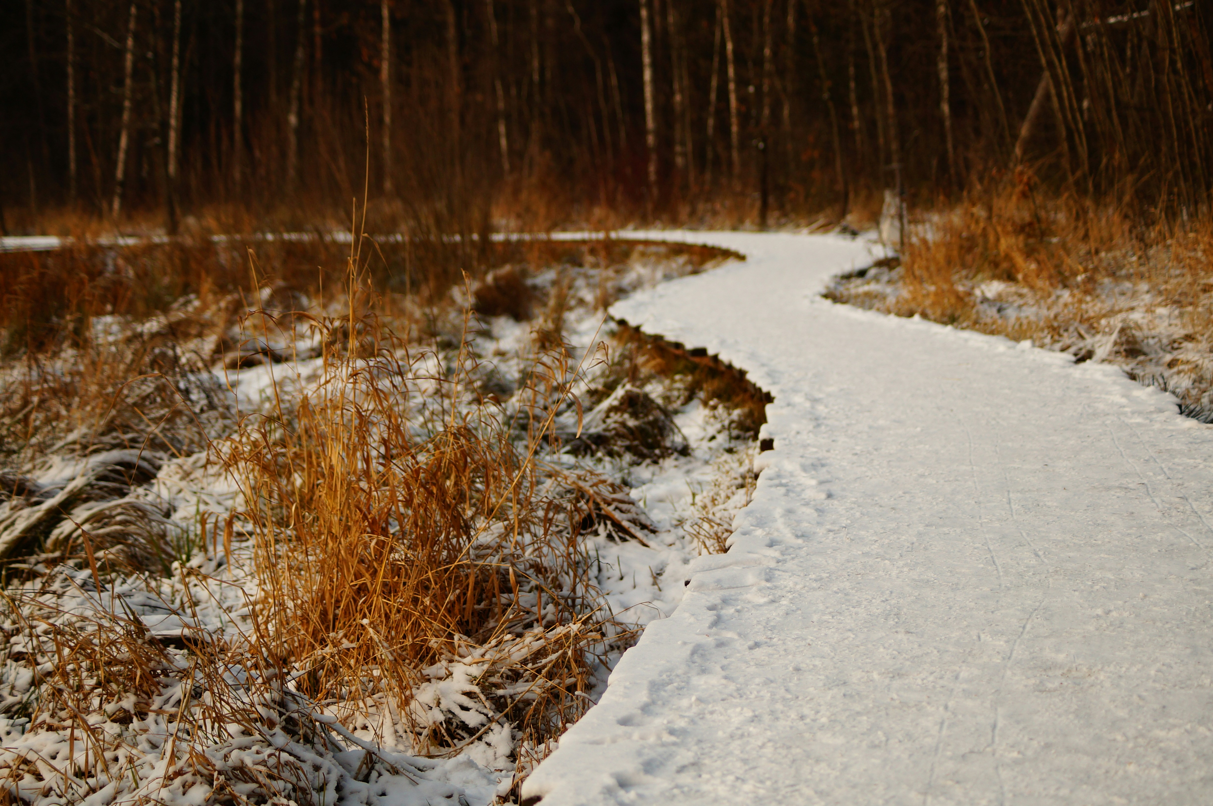 Photo by paveldanilov