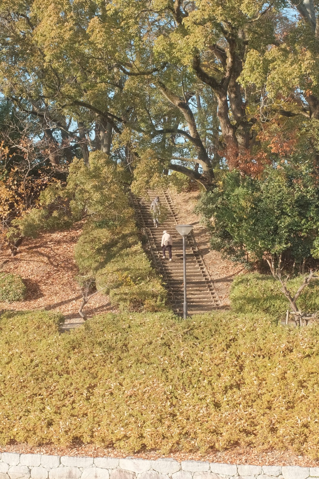 brown wooden fence near green trees during daytime