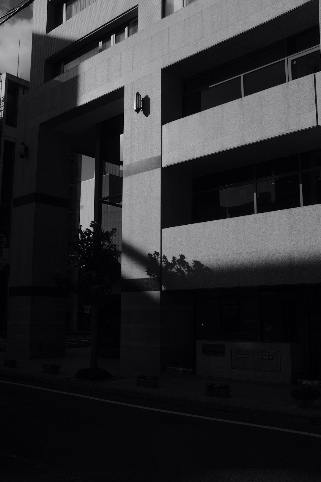 grayscale photo of building with trees
