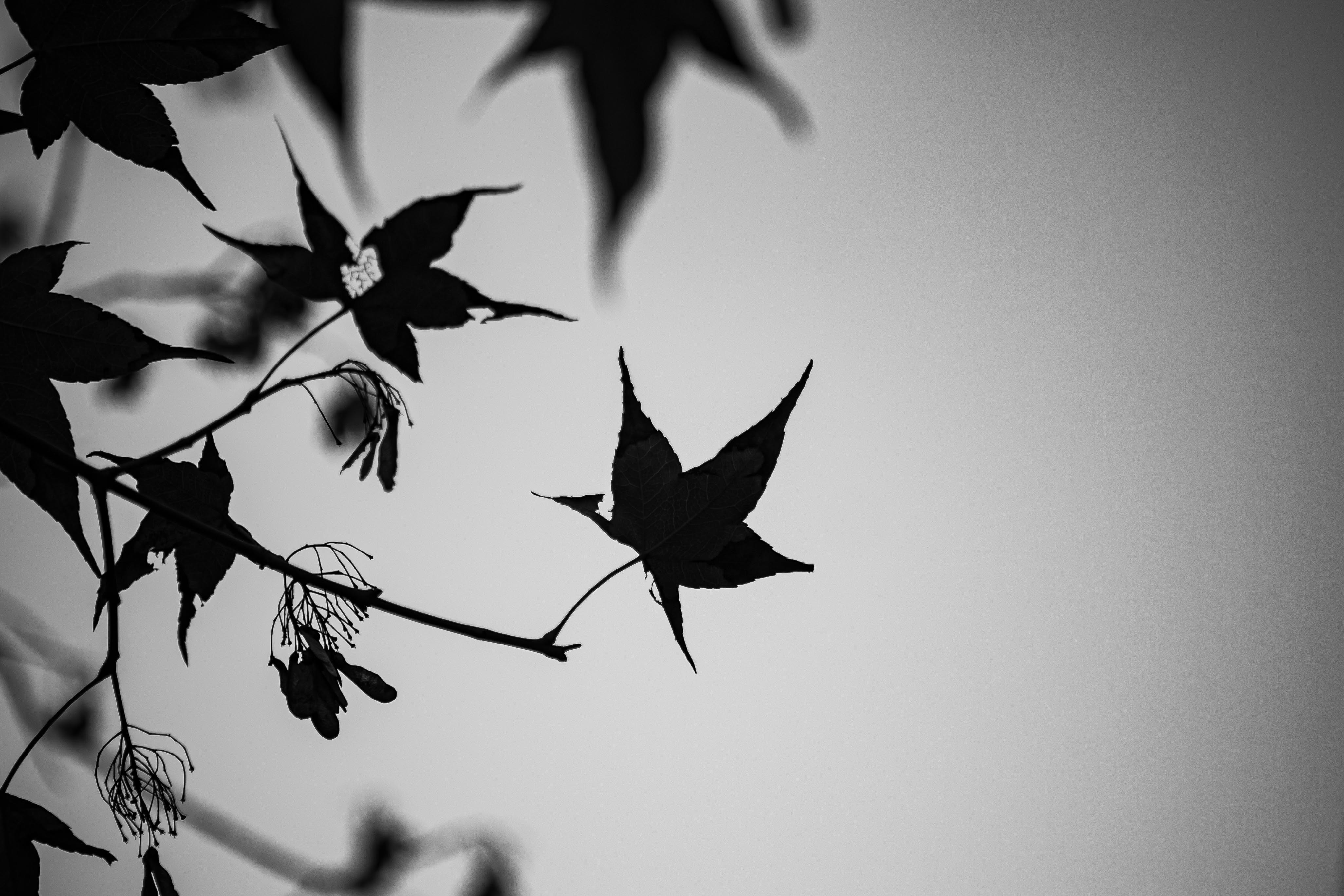 Photo by benjamin_1017