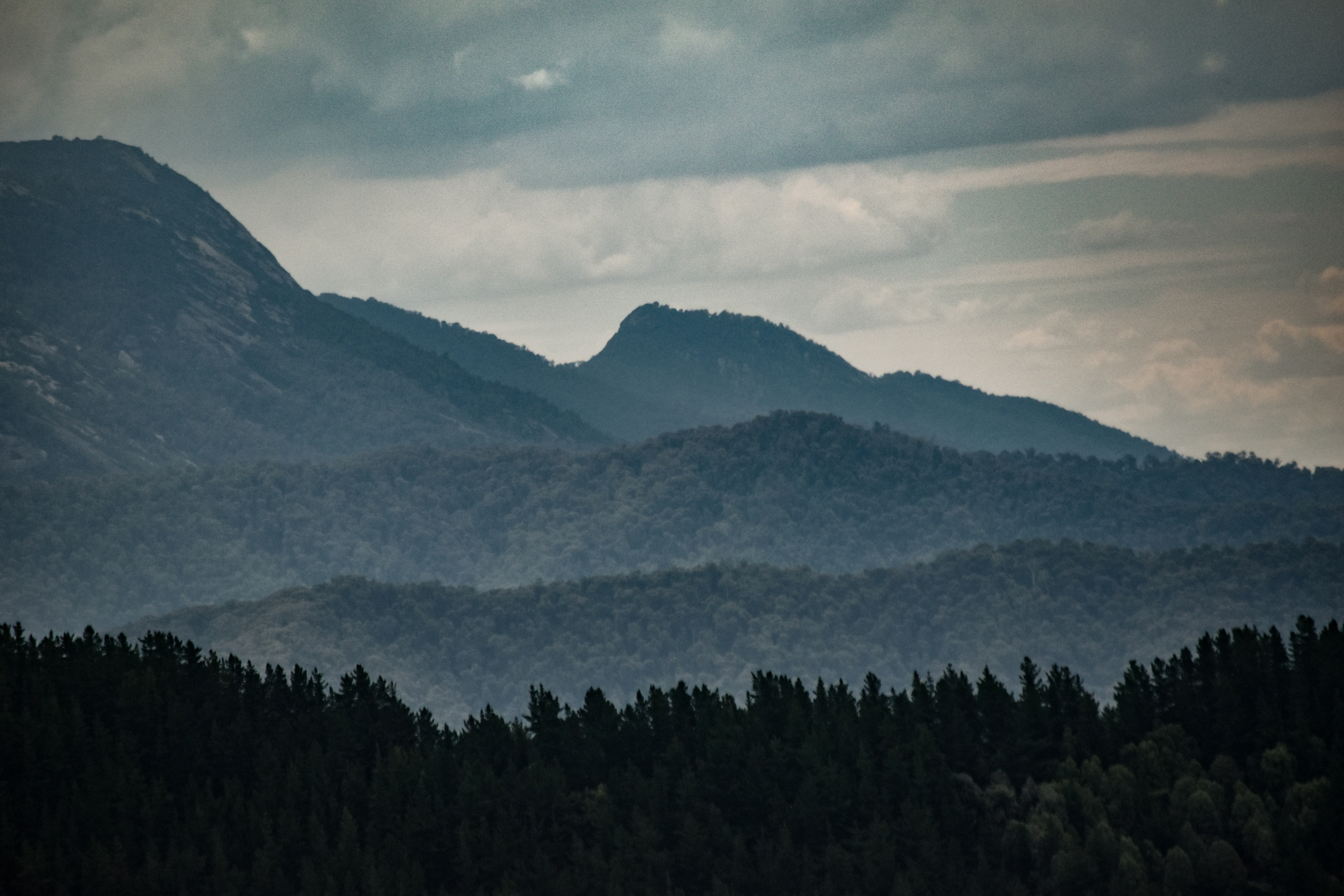 Photo by alistairhand