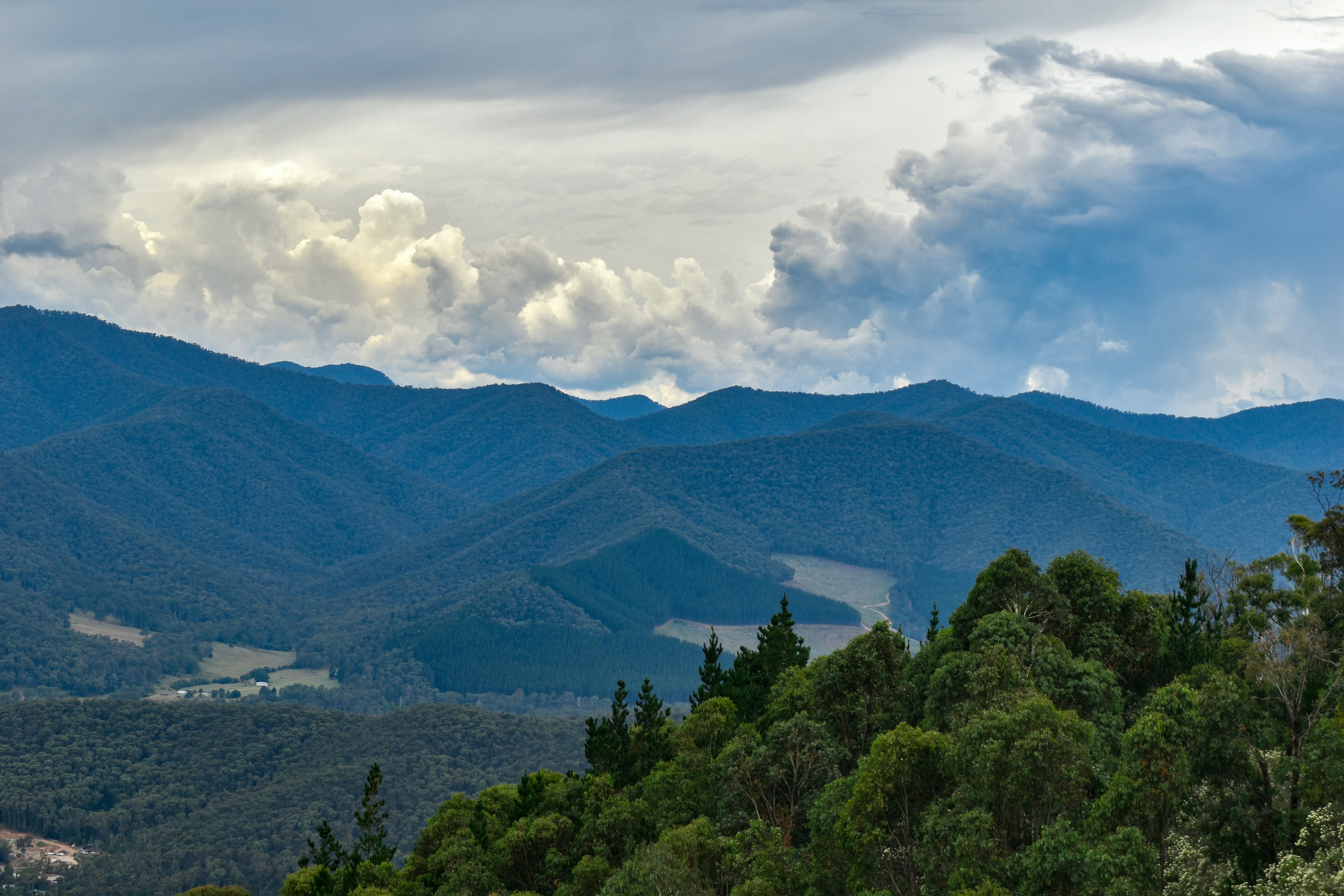 Photo by alistairhand