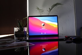 A laptop displaying a colorful login screen is placed on a reflective surface. To the left, a potted succulent is visible, and various items, possibly documents, are scattered nearby. In the background, faint outlines of tall plants can be seen against a textured wall.