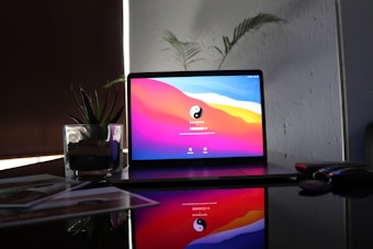A laptop displaying a colorful login screen is placed on a reflective surface. To the left, a potted succulent is visible, and various items, possibly documents, are scattered nearby. In the background, faint outlines of tall plants can be seen against a textured wall.