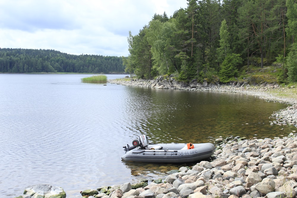 white and black boat on river during daytime