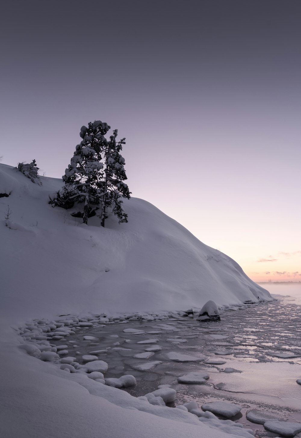 green tree on white snow covered mountain during daytime