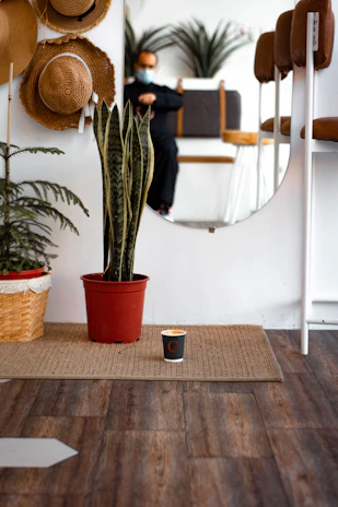 A textured jute braided rug under a coffee table with ceramic planters nearby