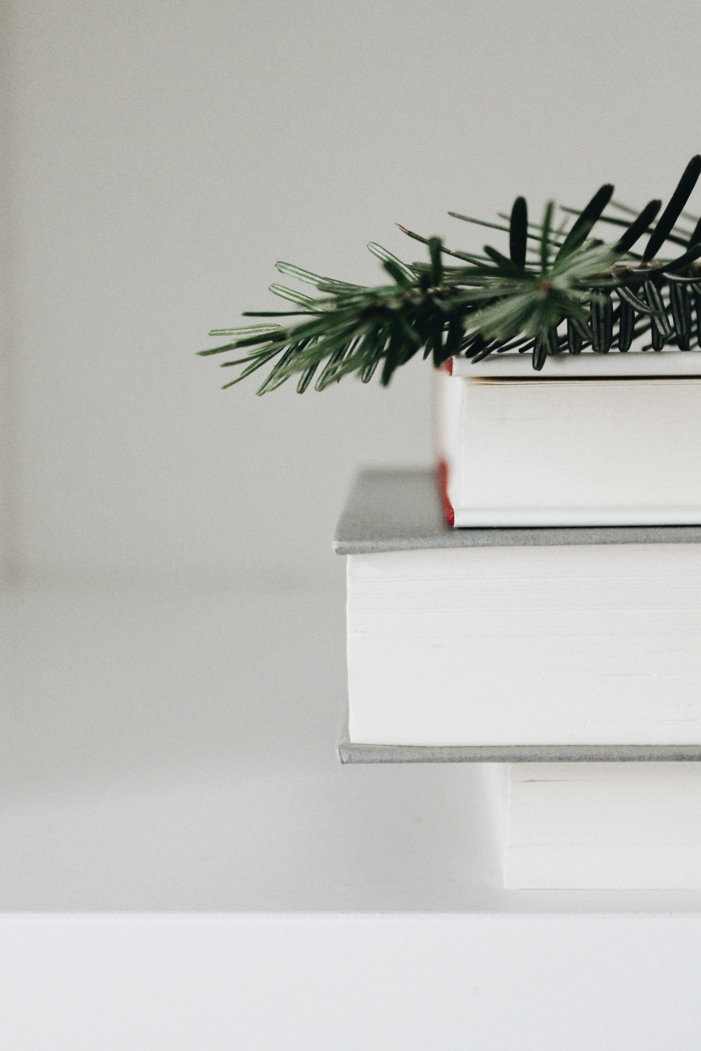 Photo by anna_meshkov