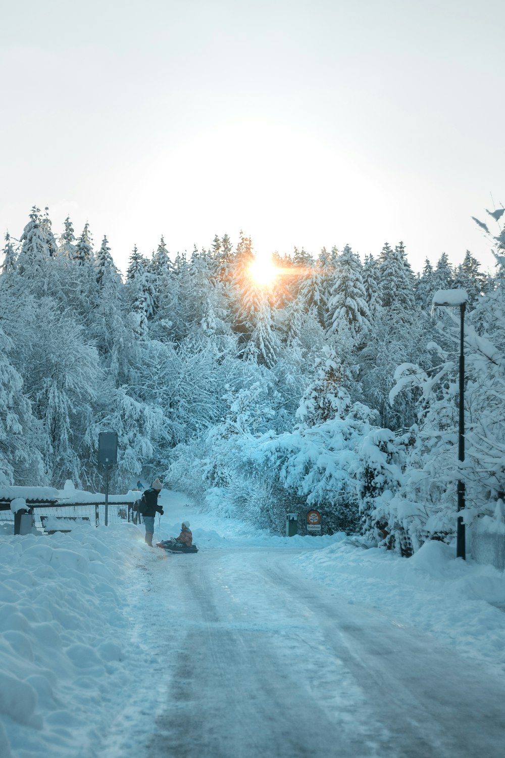 person in black jacket standing on snow covered ground near trees during daytime