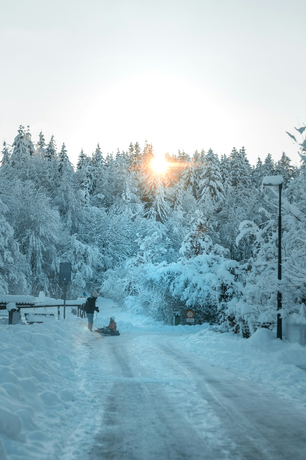 Persona in giacca nera in piedi su un terreno coperto di neve vicino agli alberi durante il giorno