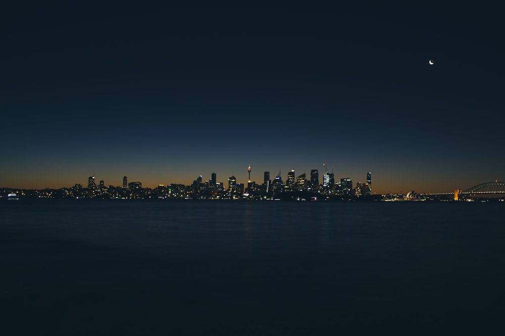 silhouette of people on beach during night time