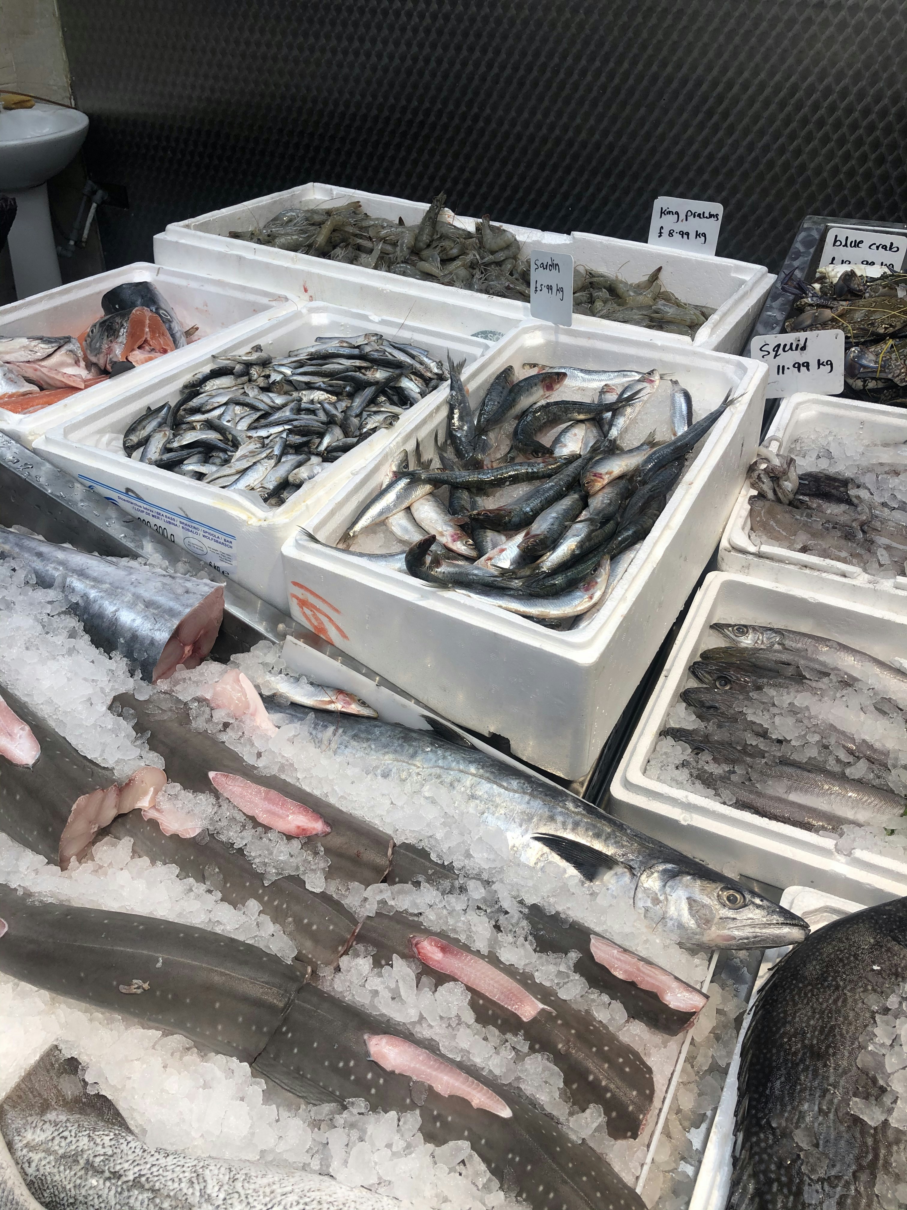 Exploring the Best Seafood and Protein Foods Market for Affordable Eggs in New Mexico