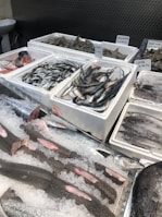 Various types of fresh seafood are displayed on ice in a market setting. Fish, shrimp, squid, and blue crabs are neatly arranged in white styrofoam boxes, with each type labeled with price tags. The scene reflects a typical seafood market with a variety of options available for purchase.