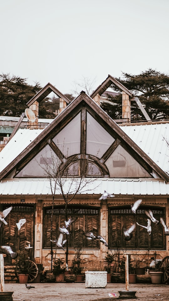 brown and white wooden house in Chrea Algeria