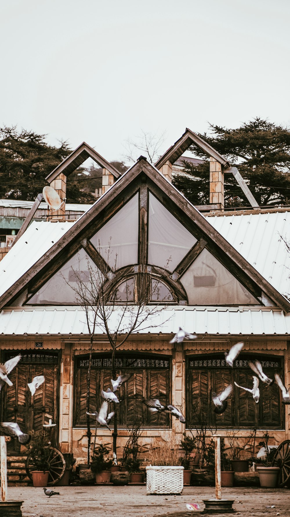 brown and white wooden house