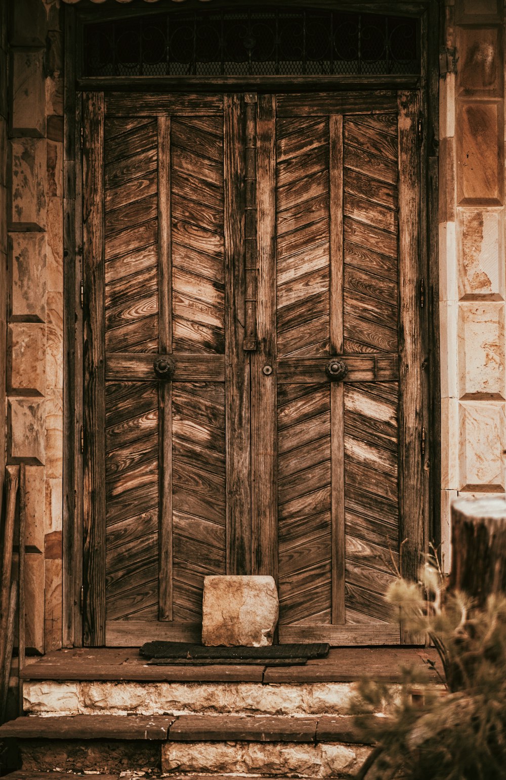 puerta de madera marrón con gato blanco y marrón