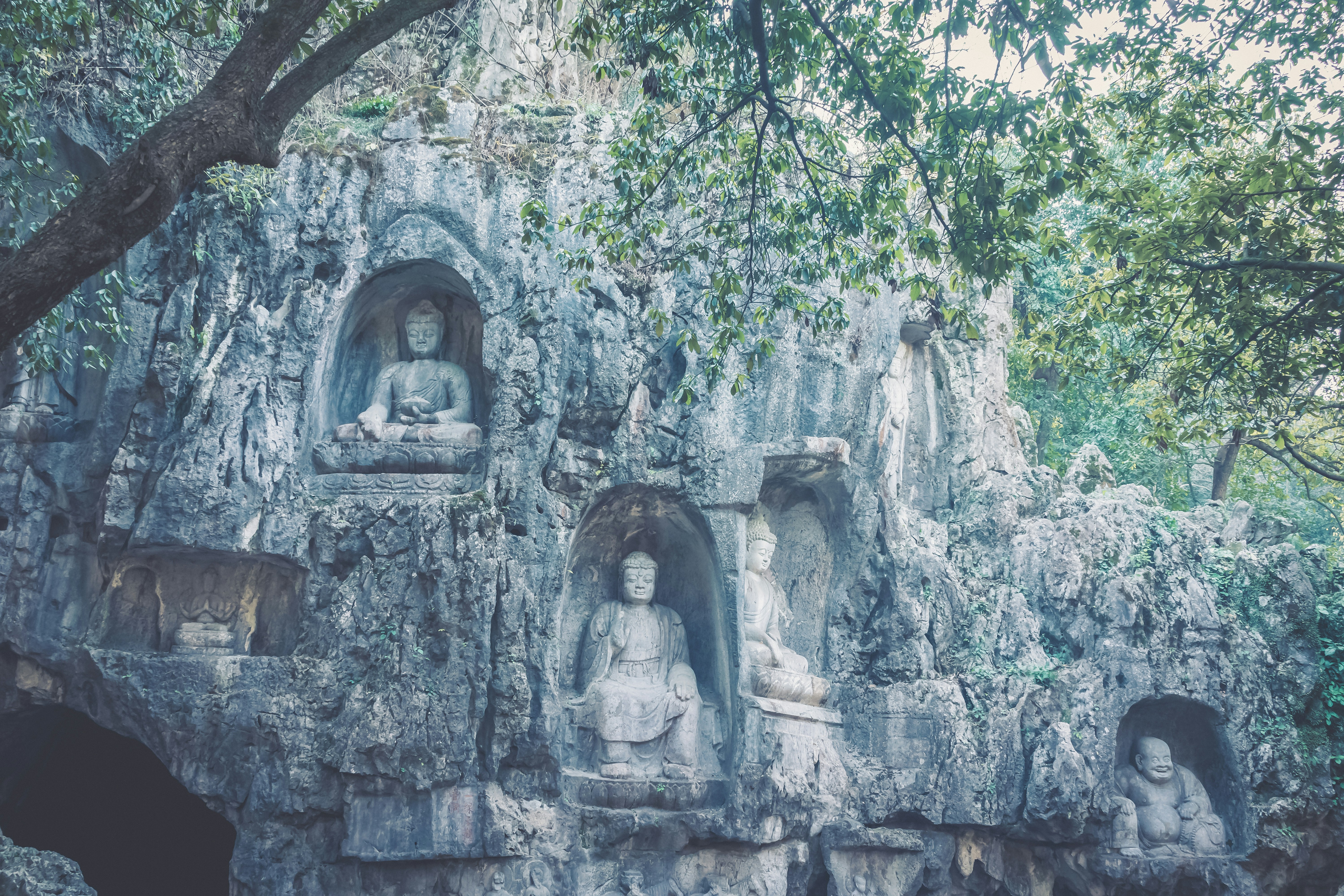 Photo by mocking_bird