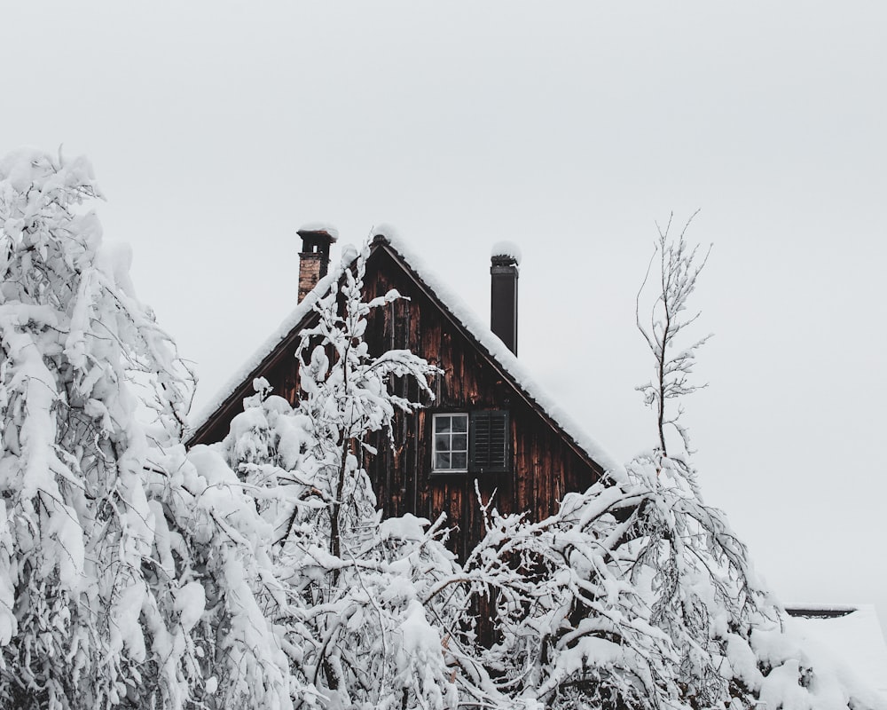 red wooden house covered with snow