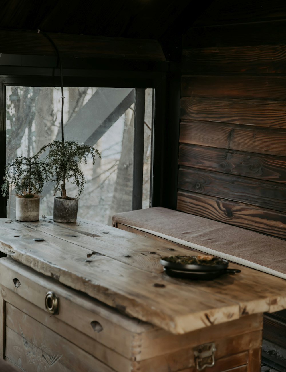 green potted plant on brown wooden table