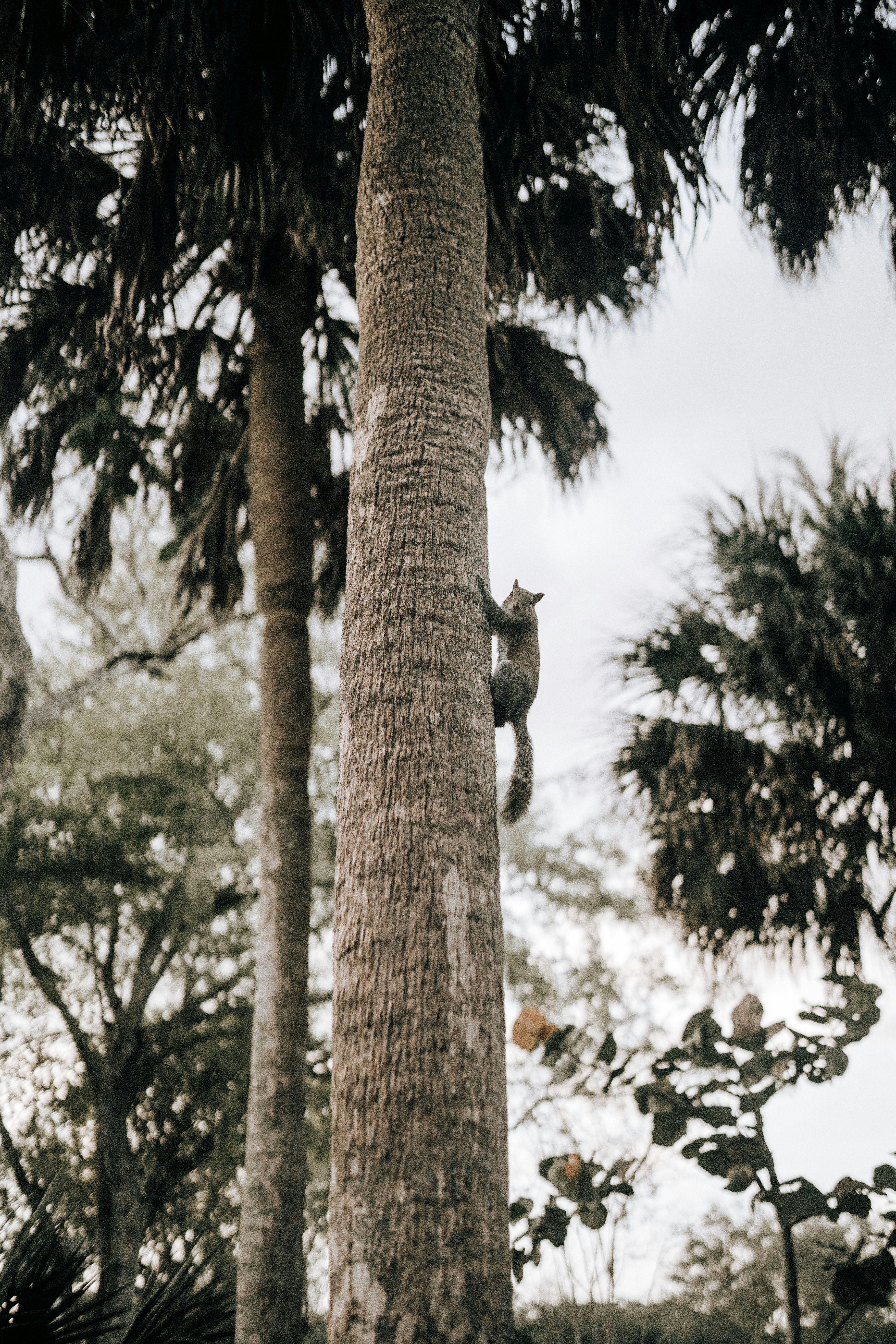 Photo by andredantan19