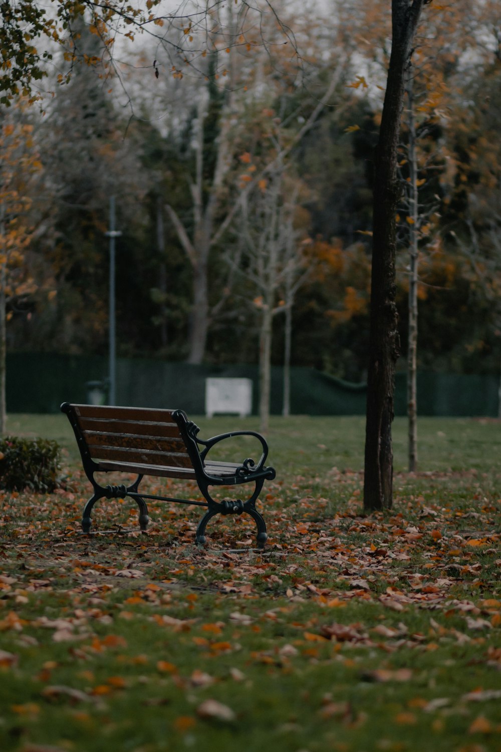 black metal bench near brown trees during daytime