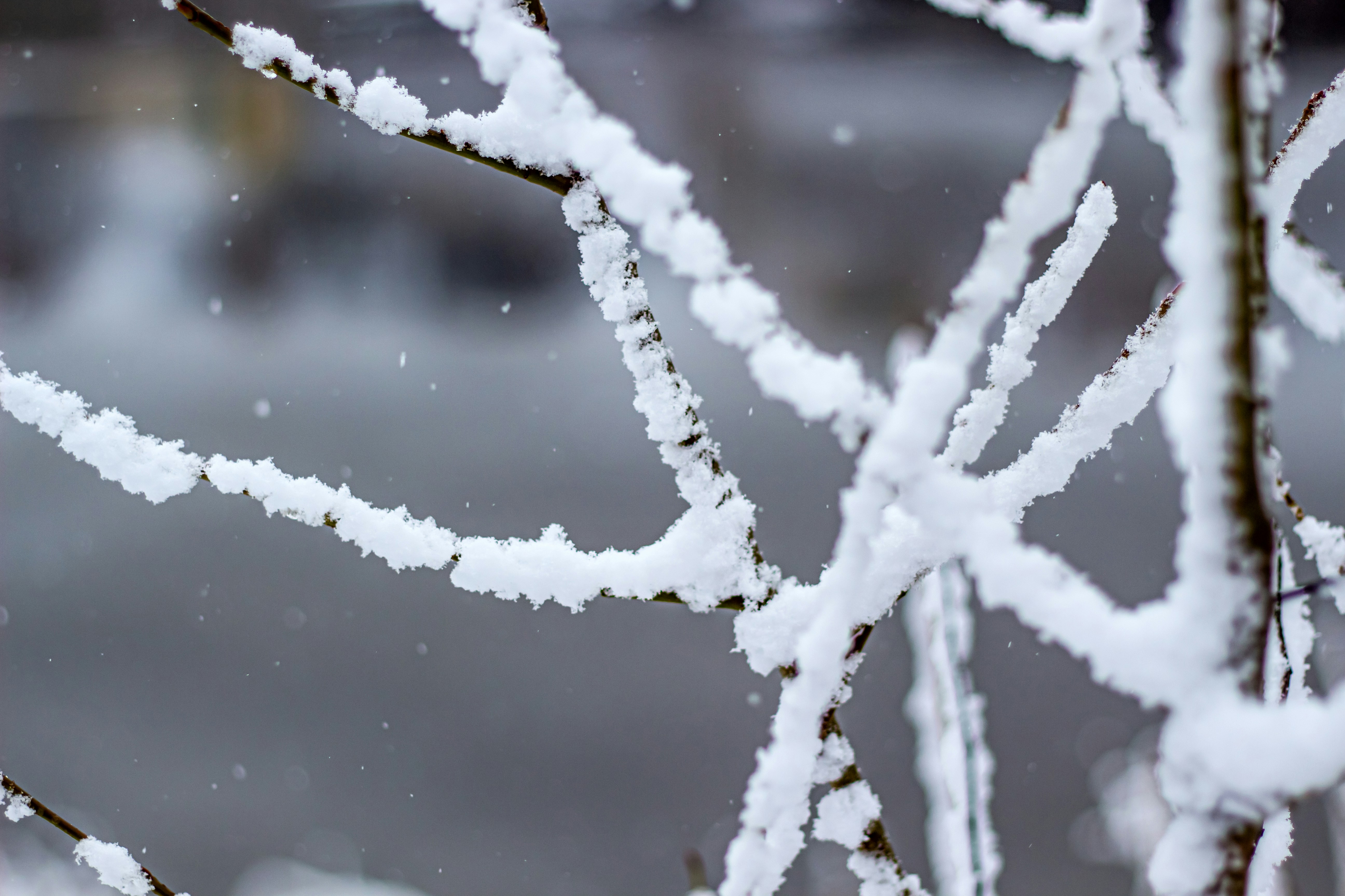 Photo by bildflickan