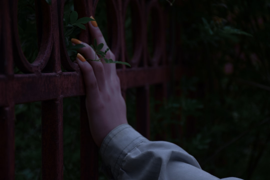 person in gray long sleeve shirt holding green plant