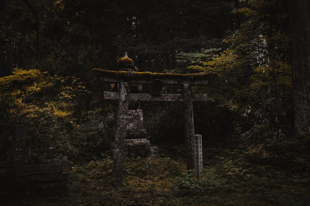 person in yellow jacket sitting on brown wooden bridge