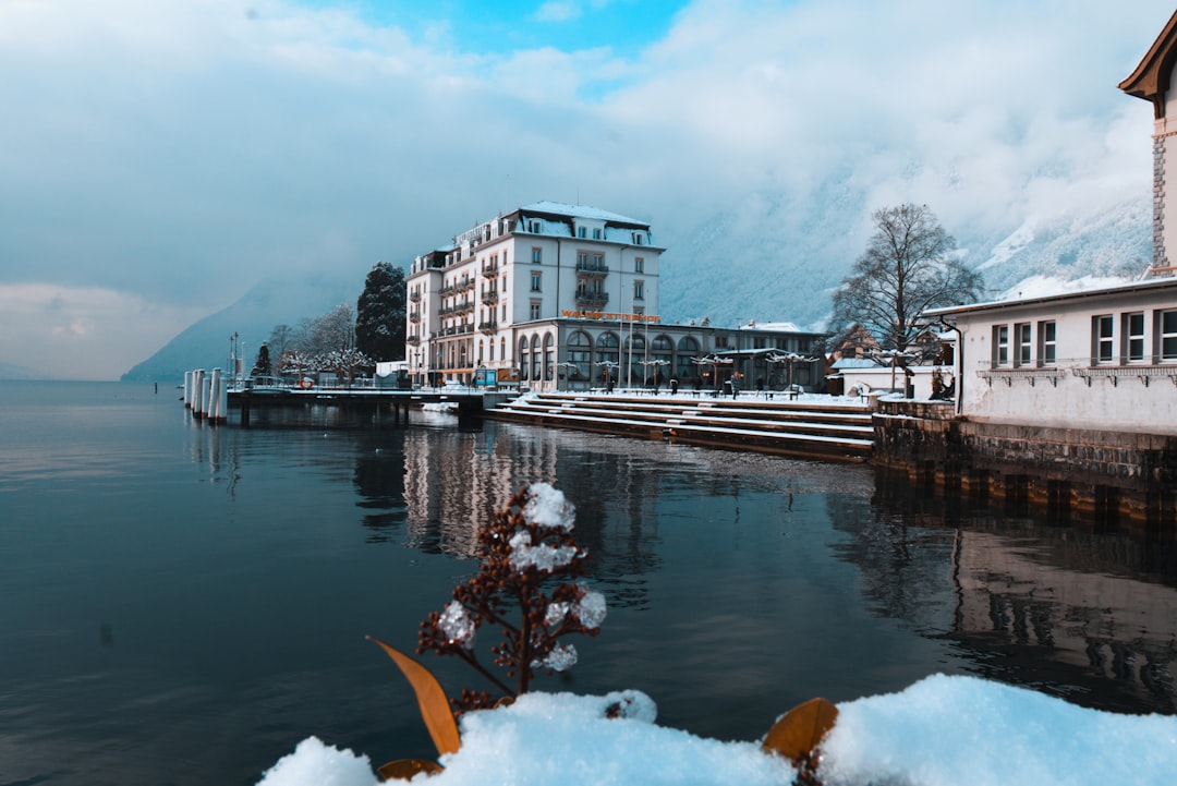 white and brown concrete building near body of water during daytime