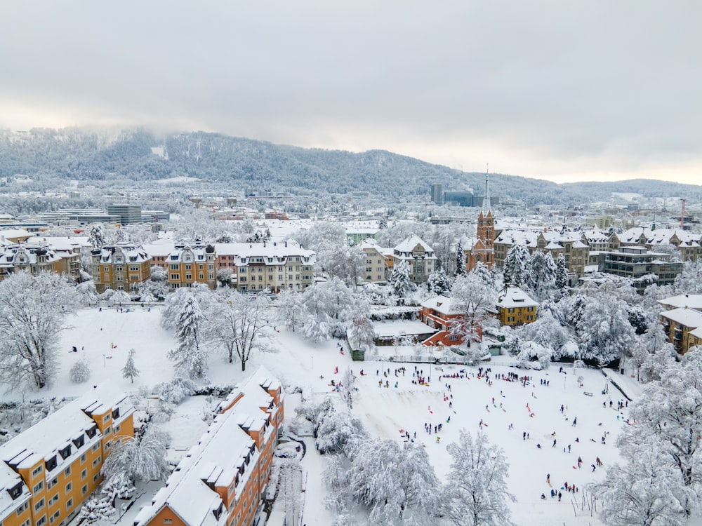 white and brown houses covered with snow during daytime